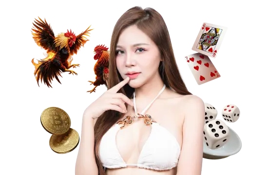 Hình minh họa Điều khoản dịch vụ mma88